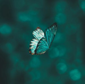 digitalisation-organisation